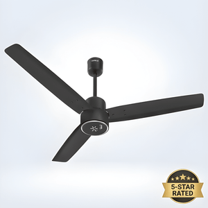 Ceiling Fans